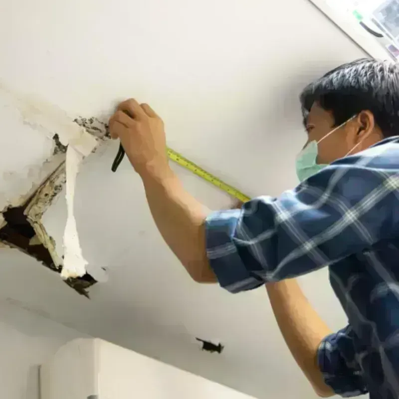 Ceiling And Wall Water Damage in Tanaina, AK